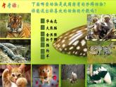 小學美術人美版 一年級下冊 12可愛的動物 3 課件