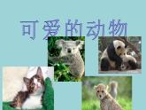 小學美術人美版 一年級下冊 12可愛的動物 課件