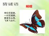 小學(xué)美術(shù)人美版 一年級下冊 10我和昆蟲 課件