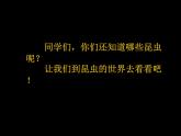 小學(xué)美術(shù)人美版 一年級下冊 10我和昆蟲 課件