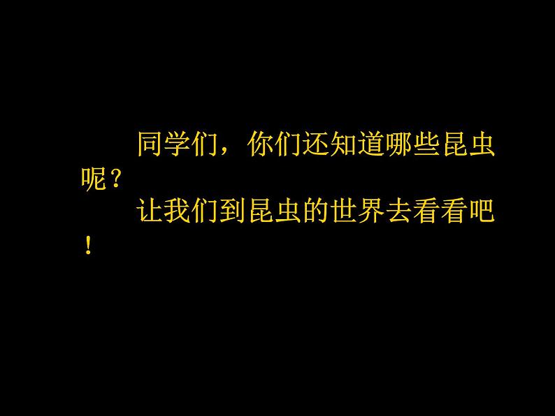 小学美术人美版 一年级下册 10我和昆虫 课件第4页