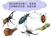 小學(xué)美術(shù)人美版 一年級(jí)下冊(cè) 11奇妙的爬行 課件