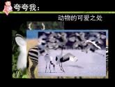 小學美術人美版 一年級下冊 12可愛的動物 2 課件