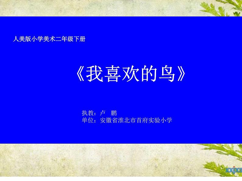 小学美术人美版 二年级下册 第19课我喜欢的鸟 课件01