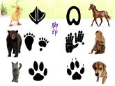 小學(xué)美術(shù)人教版二年級(jí)下冊(cè)第10課腳印的聯(lián)想 3 課件