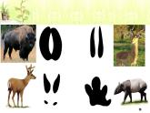 小學(xué)美術(shù)人教版二年級(jí)下冊(cè)第10課腳印的聯(lián)想 3 課件