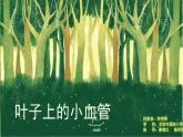 小學美術(shù)人教版二年級下冊第8課葉子上的小“血管” 3 課件