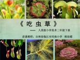 小學(xué)美術(shù)人美版 二年級(jí)下冊(cè) 第2課吃蟲(chóng)草 1 課件