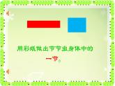 小學(xué)美術(shù)人美版 二年級(jí)下冊(cè) 第6課節(jié)節(jié)蟲 課件