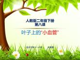 小學美術(shù)人教版二年級下冊第8課葉子上的小“血管” 課件