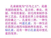 小學(xué)美術(shù)人教版二年級下冊第7課美麗的·孔雀 1 課件