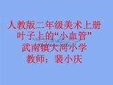 小學美術(shù)人教版二年級下冊第8課葉子上的小“血管” 2 課件