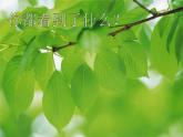 小學美術(shù)人教版二年級下冊第8課葉子上的小“血管” 課件