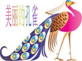 小學(xué)美術(shù)人教版二年級下冊第7課美麗的·孔雀 課件