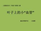 小學美術(shù)人教版二年級下冊第8課葉子上的小“血管” 2 課件