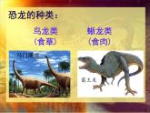小學(xué)美術(shù)人美版 三年級下冊 1恐龍世界 1 課件