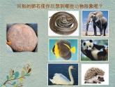 小学美术人美版 三年级下册 15卵石动物造型 1 课件