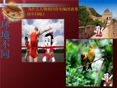 小學(xué)美術(shù)人美版 三年級下冊 4人物與環(huán)境 1 課件