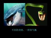 小學(xué)美術(shù)人美版 三年級下冊 6大嘴怪 1 課件