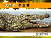 小學(xué)美術(shù)人美版 三年級下冊 6大嘴怪 2 課件