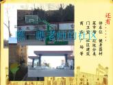 小學(xué)美術(shù)人美版 三年級下冊 5我們的社區(qū) 2 課件