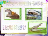 小學(xué)美術(shù)人美版 三年級下冊 6大嘴怪 課件