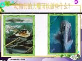 小學(xué)美術(shù)人美版 三年級下冊 6大嘴怪 課件