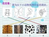 小學(xué)美術(shù)人教版三年級下冊第11課動物的花衣裳 2 課件
