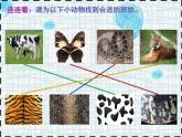 小學(xué)美術(shù)人教版三年級下冊第11課動物的花衣裳 2 課件