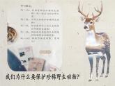 小學(xué)美術(shù)人教版三年級(jí)下冊(cè)第19課保護(hù)珍稀野生動(dòng)物 課件