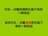 小學(xué)美術(shù)人美版 四年級(jí)下冊(cè) 1植物寫生 2 課件