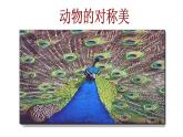 小学美术人美版 四年级下册 6巧用对称形 1 课件
