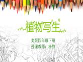 小學(xué)美術(shù)人美版 四年級(jí)下冊(cè) 1植物寫生 課件
