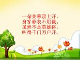 小學(xué)美術(shù)人美版 四年級(jí)下冊(cè) 14艷麗的大公雞 2 課件