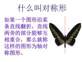 小学美术人美版 四年级下册 6巧用对称形 1 课件