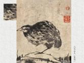 小學(xué)美術(shù)人美版 四年級下冊 10動物的臉 課件