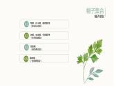 小學(xué)美術(shù)人教版四年級下冊第16課千姿百態(tài)的帽子 課件
