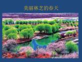 小學(xué)美術(shù)人教版四年級下冊第11課走進(jìn)春天 1 課件