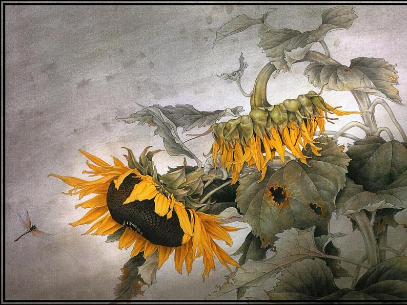 小学美术人教版五年级下册第9课写意蔬果 2 课件06