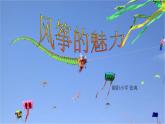 小学美术人教版五年级下册第13课风筝的魅力 1 课件
