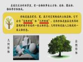 小學(xué)美術(shù)人教版五年級下冊第2課形體的組合 課件