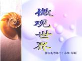 小學(xué)美術(shù)人教版五年級(jí)下冊(cè)第14課微觀世界 1 課件