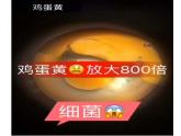 小學(xué)美術(shù)人教版五年級(jí)下冊(cè)第14課微觀世界 1 課件