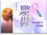 小學(xué)美術(shù)人教版五年級(jí)下冊(cè)第14課微觀世界 3 課件