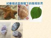 小學(xué)美術(shù)人教版五年級(jí)下冊(cè)第14課微觀世界 3 課件