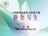小學(xué)美術(shù)人教版五年級下冊第5課靜物寫生 3 課件