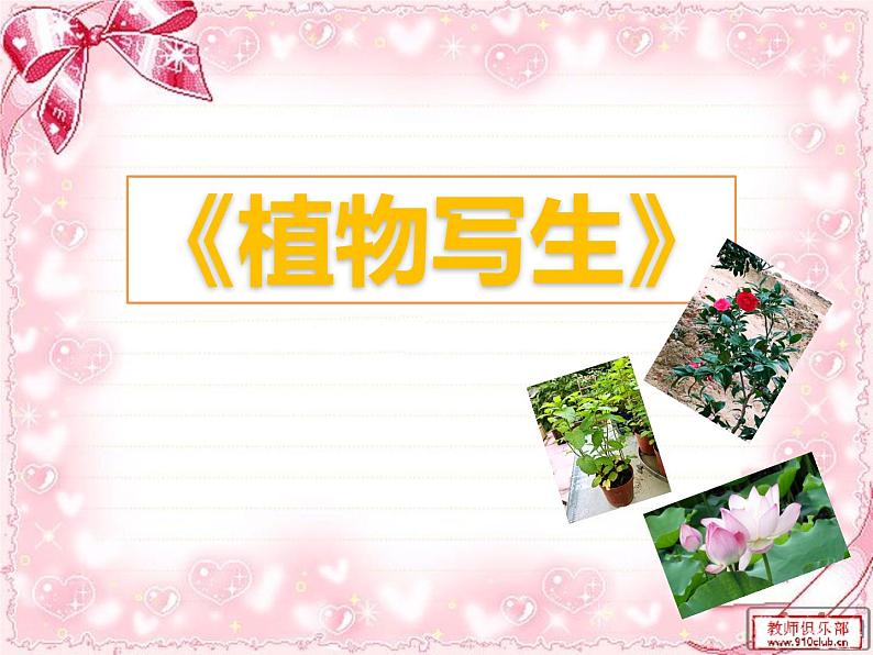 小学美术浙人美版五年级下册 11植物写生 课件03