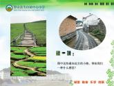 小学美术浙人美版五年级下册 9弯弯的小路 1 课件