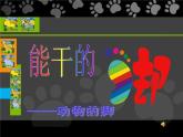 小學(xué)美術(shù)蘇少版六年級(jí)下冊(cè)第3課能干的腳 課件