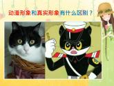 小學(xué)美術(shù)人美版 六年級下冊 13擬人化的動(dòng)漫形象 課件